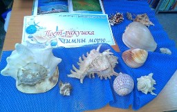 Поет ракушка гимны морю